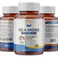 Sea Moss With Bladderwrack & Burdock Root Capsules 102 Minerals( 2 Months Supply)