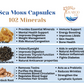 Sea Moss With Bladderwrack & Burdock Root Capsules 102 Minerals( 2 Months Supply)